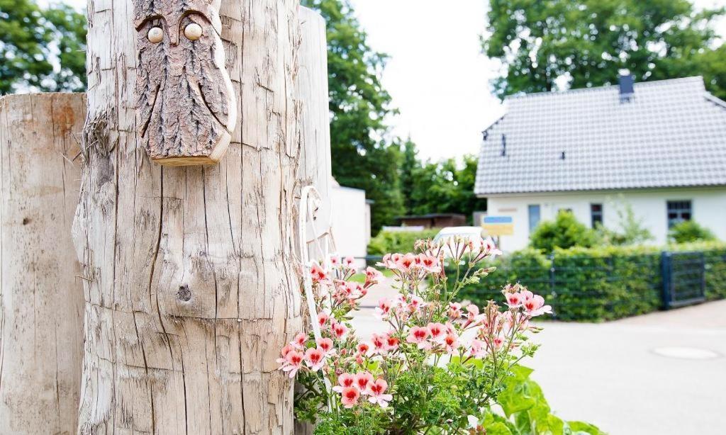 Sonnenblumenhaus 01 Leilighet Prerow Eksteriør bilde